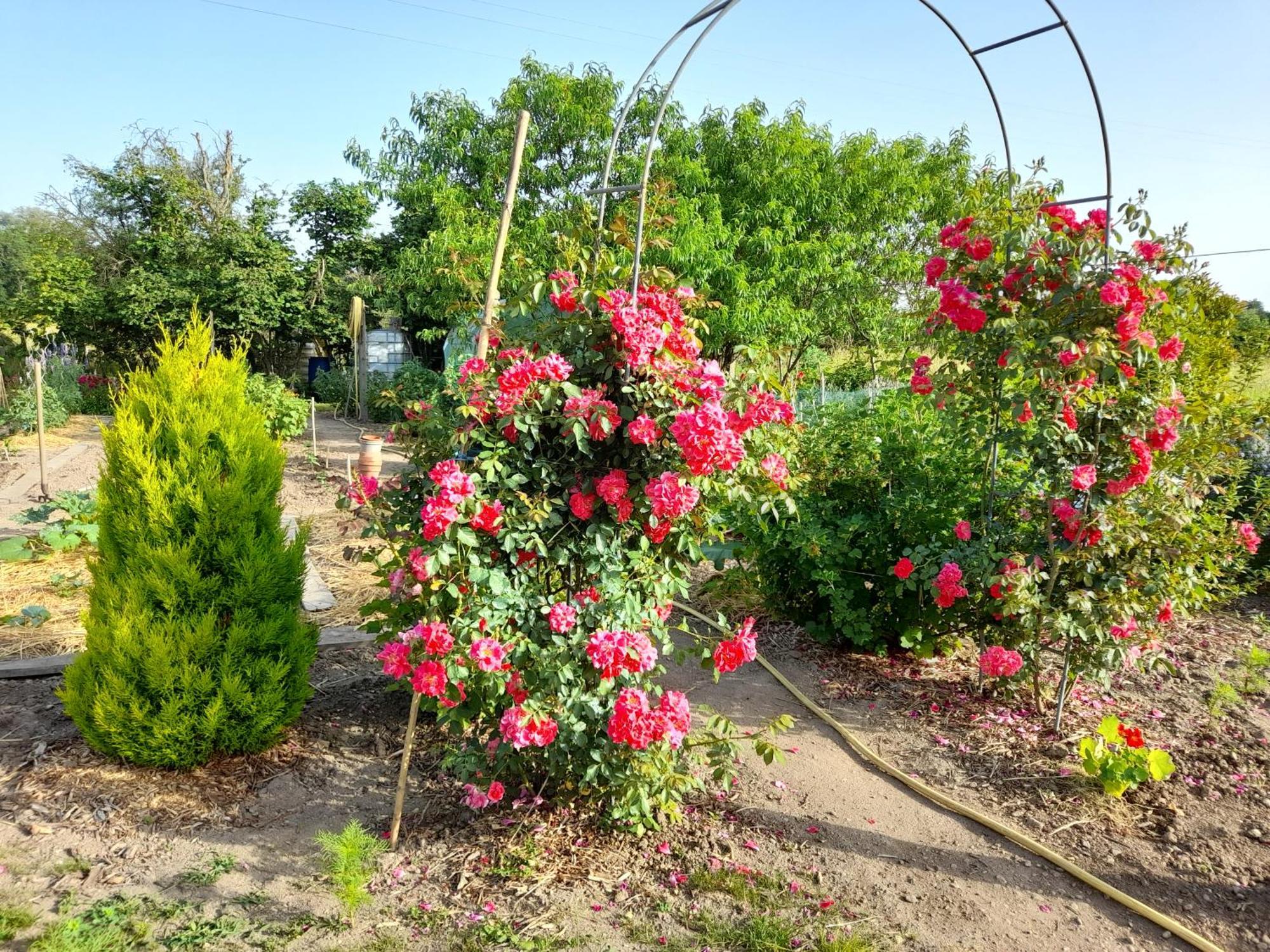 Bed and Breakfast Les Abelias Hauterive  Exterior foto