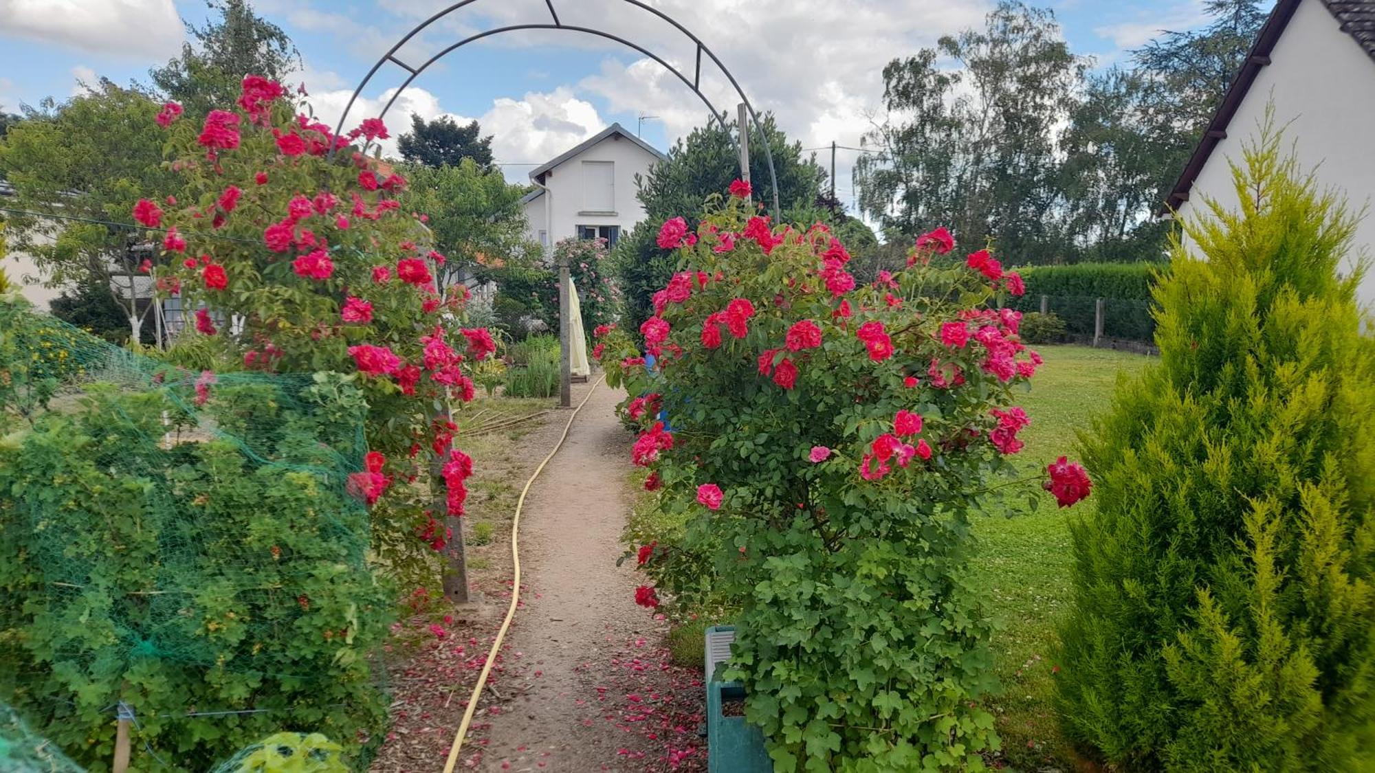 Bed and Breakfast Les Abelias Hauterive  Exterior foto